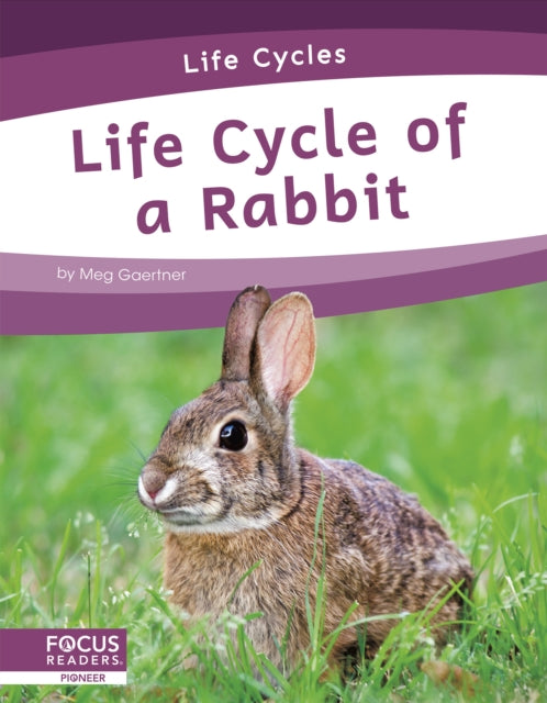 Book cover of: Life Cycle of a Rabbit. By: Meg Gaertner