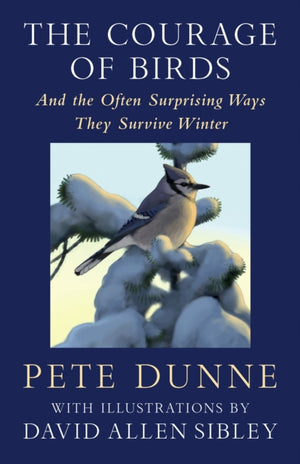 Courage of Birds, And the Often Surprising Ways They Survive Winter