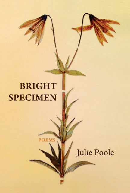 Bright Specimen