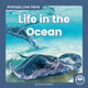 Book cover of: Life in the Ocean. By: Connor Stratton