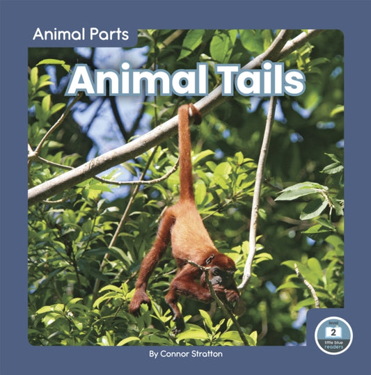 Book cover of: Animal Tails. By: Connor Stratton