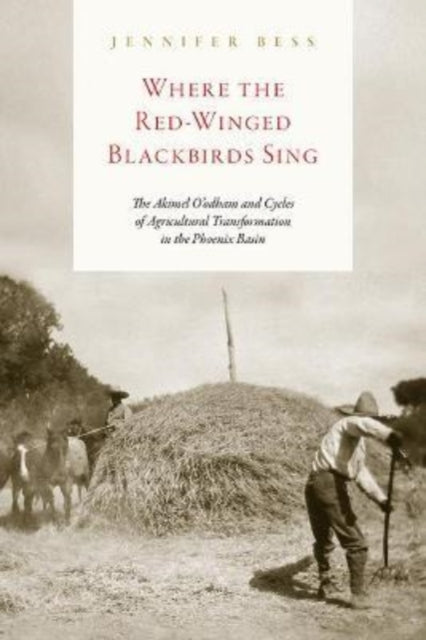 Book cover of: Where the Red-Winged Blackbirds Sing. By: Jennifer Bess