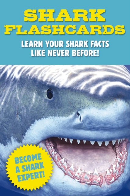 Book cover of: Shark Flashcards