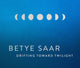 Book cover of: Betye Saar: Drifting toward Twilight. By: Betye Saar