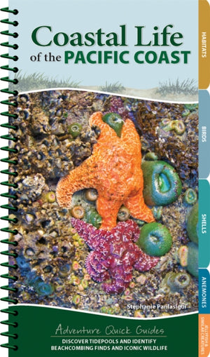 Coastal Life of the Pacific Coast