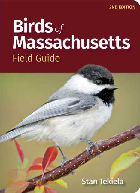 Book cover of: Birds of Massachusetts Field Guide. By: Stan Tekiela
