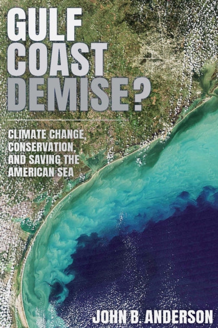 Book cover of: Gulf Coast Demise?. By: John B. Anderson
