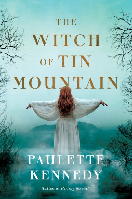 Book cover of: Witch of Tin Mountain. By: Paulette Kennedy