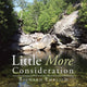 Book cover of: Little More Consideration
