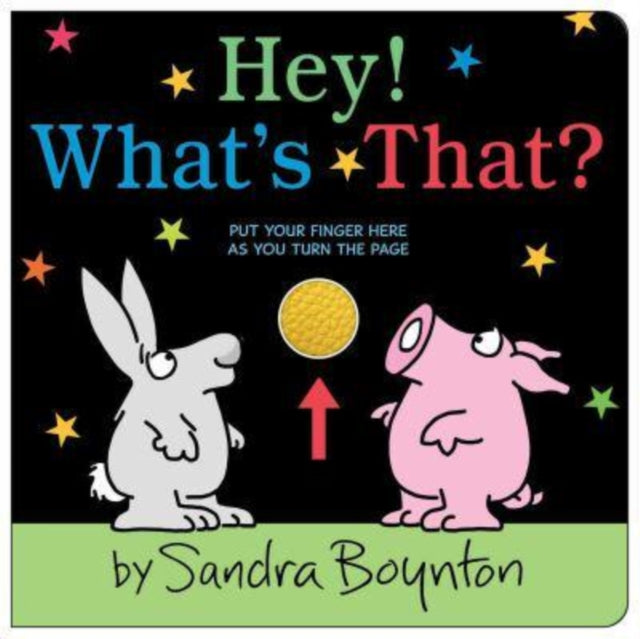 Book cover of: Hey! What's That?. By: Sandra Boynton