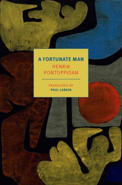 Book cover of: Fortunate Man