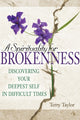 Book cover of: Spirituality for Brokenness. By: Terry Taylor