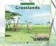 Book cover of: Grasslands. By: Cathryn P. Sill