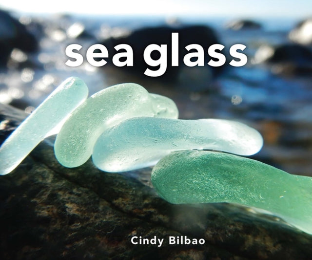 Book cover of: Sea Glass. By: Cindy Bilbao