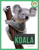 Spotlight on Nature: Koala 9781682770344 Gah