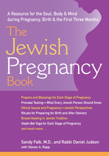 Book cover of: Jewish Pregnancy Book. By: Sandy Falk