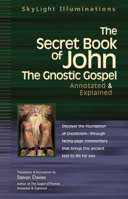 Book cover of: Secret Book of John. By: Stevan Davies