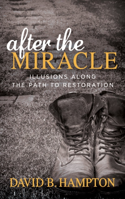 Book cover of: After the Miracle. By: David B. Hampton
