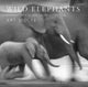 Book cover of: Wild Elephants. By: Samuel Wasser