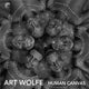 Book cover of: Human Canvas