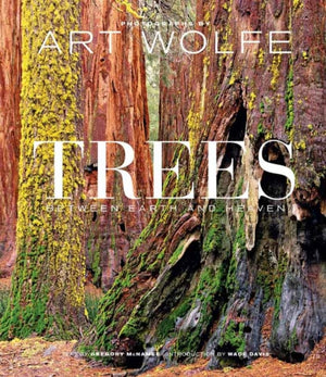Trees