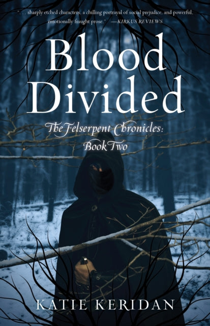 Book cover of: Blood Divided. By: Katie Keridan