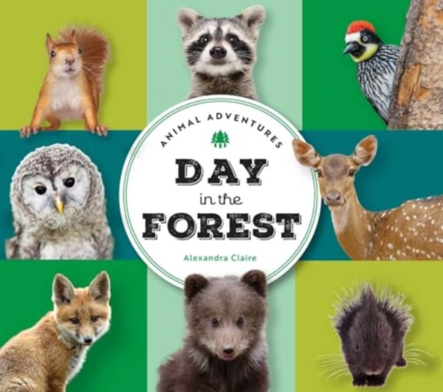 Book cover of: Animal Adventures: Day in the Forest. By: Alexandra Claire