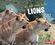 Book cover of: On the Hunt with Lions. By: Sandra Markle