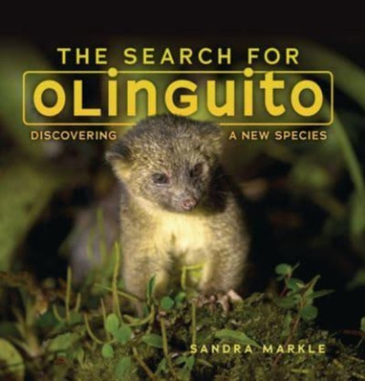 Book cover of: Search for Olinguito. By: Sandra Markle