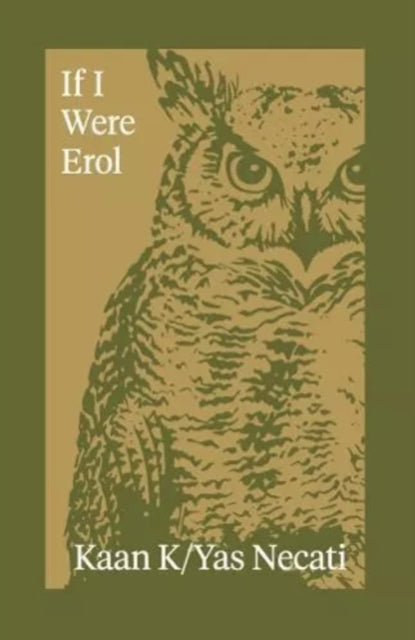 Book cover of: If I Were Erol