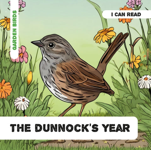 The Dunnock's Year