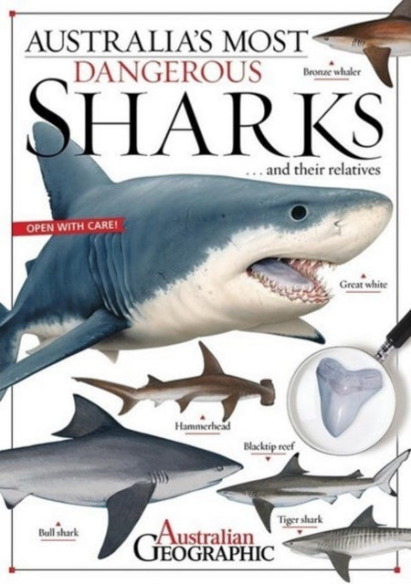 Book cover of: Aus Most Dangerous Sharks. By: Kathy Riley
