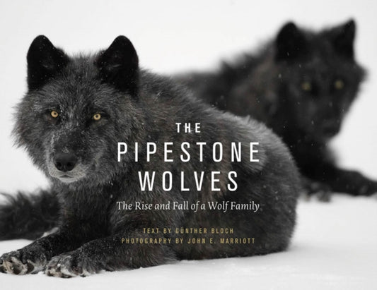 Book cover of: Pipestone Wolves. By: Günther Bloch
