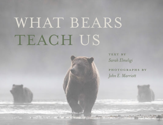 Book cover of: What Bears Teach Us. By: Sarah Elmeligi