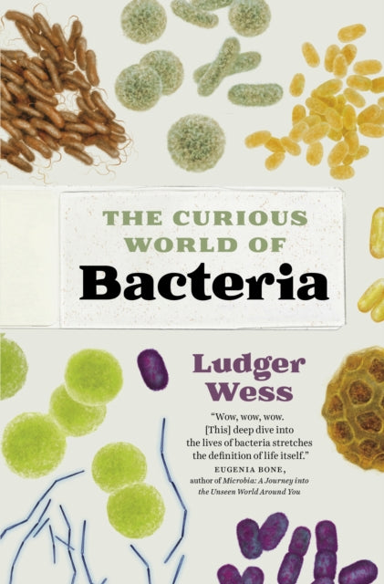 Book cover of: Curious World of Bacteria. By: Ludger Wess