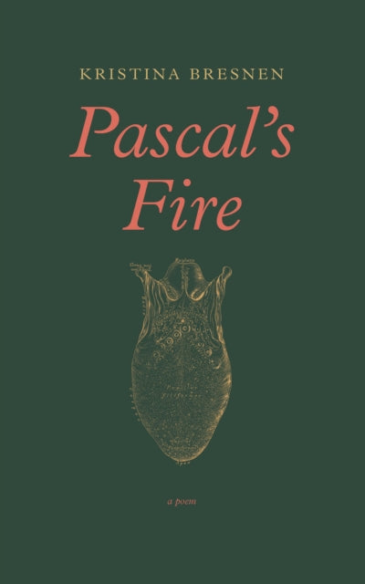 Book cover of: Pascal's Fire. By: Kristina Bresnen