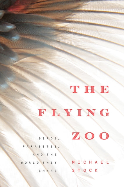 Book cover of: Flying Zoo. By: Michael Stock