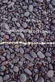 Book cover of: Numinous Seditions. By: Tim Lilburn