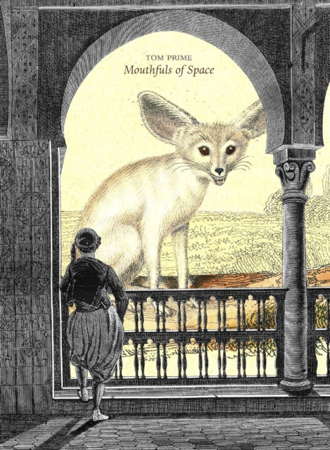 Book cover of: Mouthfuls of Space. By: Tom Prime