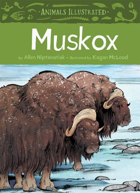 Book cover of: Animals Illustrated: Muskox. By: Allen Niptanatiak