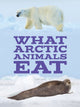 Book cover of: What Arctic Animals Eat. By: Inhabit Education