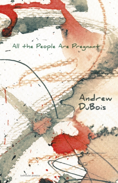 Book cover of: All the People Are Pregnant. By: Andrew DuBois