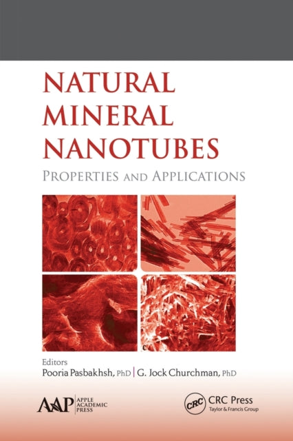 Book cover of: Natural Mineral Nanotubes. By: Pooria Pasbakhsh