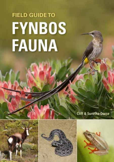 Book cover of: Field Guide to Fynbos Fauna. By: Cliff Dorse