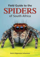 Book cover of: Field Guide to the Spiders of South Africa