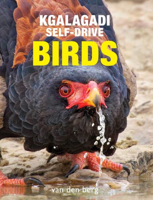 Book cover of: Kgalagadi Self-Drive Birds. By: Philip and Ingrid van den Berg