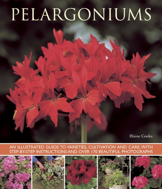 Book cover of: Pelargoniums. By: Blaise Cooke