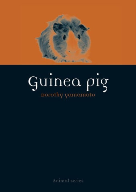 Book cover of: Guinea Pig. By: Dorothy Yamamoto