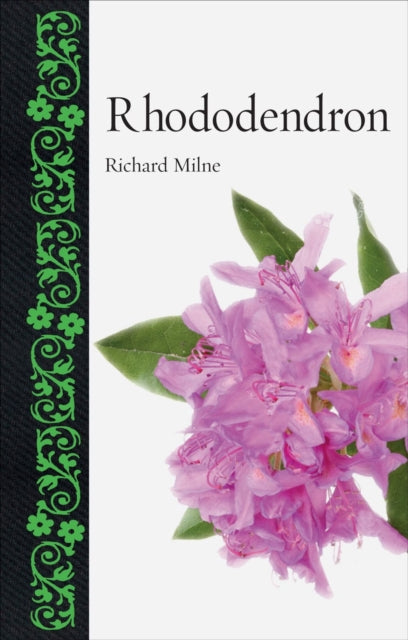 Book cover of: Rhododendron. By: Richard Milne