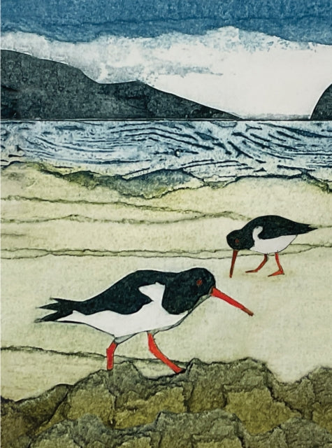 Wild Birds Pocket Notebook: Oystercatcher 9781780278469 Sarah Ross-Thompson